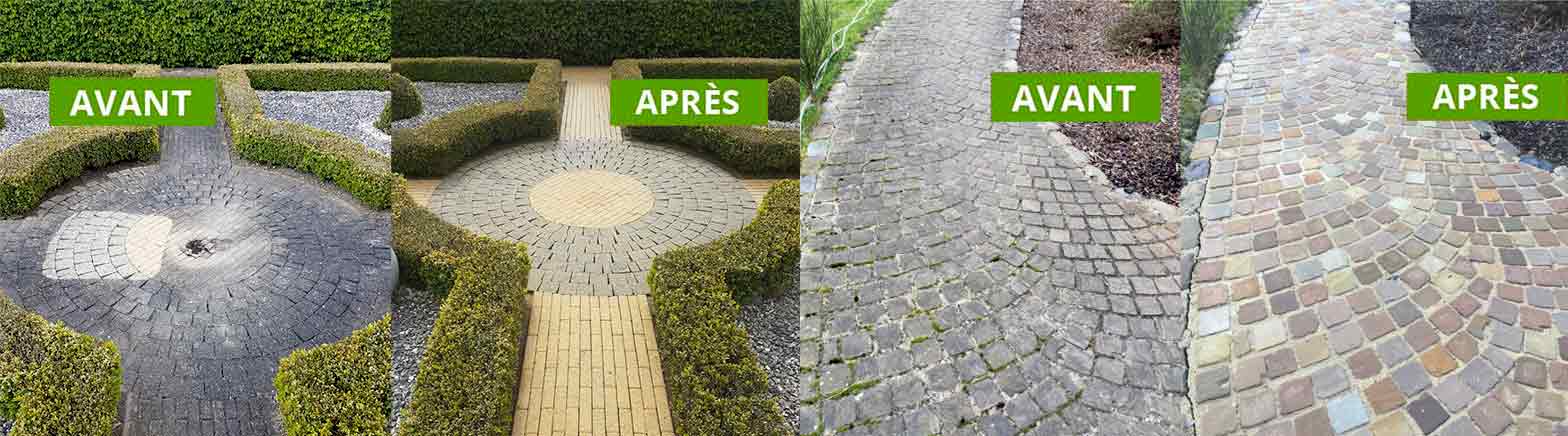 Nettoyage dallage terrasse pavé muret... ROBIN D'MOUSS en Belgique. Nettoyage dallage terrasse à la vapeur et le nettoyage de pavé à la main. Traitement anti-mousse fongicide, algicide, anti-bactérien.